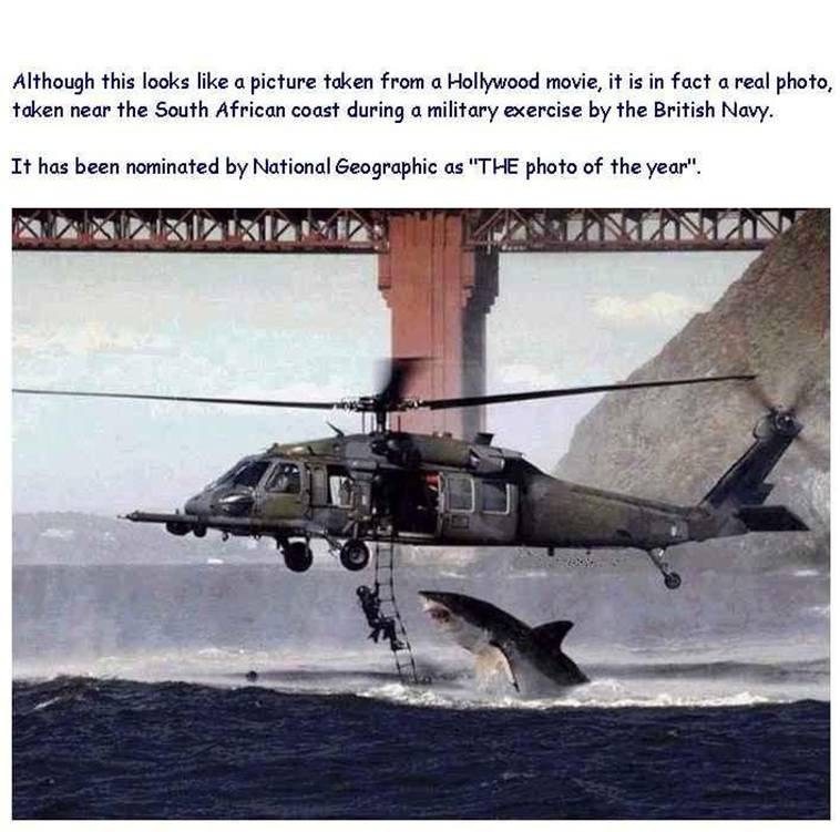 2helicop.jpg