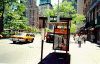 bus2.gif (97687 bytes)