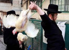 Jew vs. Chicken