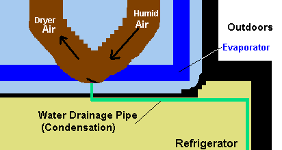 Magnified View of Image to the Left